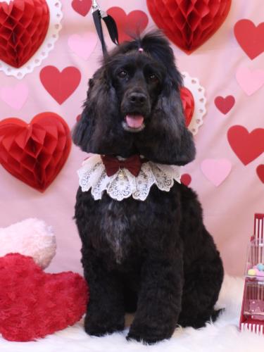 20240203はるちゃん 